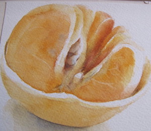Photo grand format de l'aquarelle 'Clémentine'